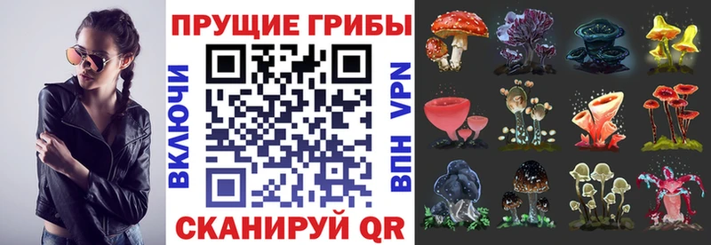 Псилоцибиновые грибы GOLDEN TEACHER  Купить  Покачи 